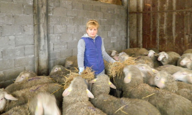 Јагњад за Србију и Либију