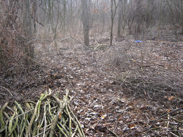 СТРАВА КОД КАЊИЖЕ: Распаднут леш пронађен у шуми