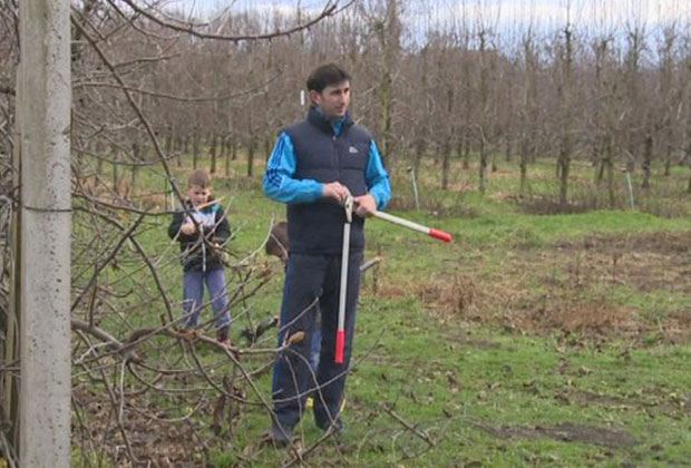 Приједор: Полиса спасава воћњаке