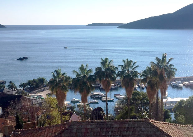 ПРЕЖИВЕЛЕ ГРАНАТЕ, ПОКОСИЛА ИХ БОЛЕСТ: Сурлаш покидао гране палмама