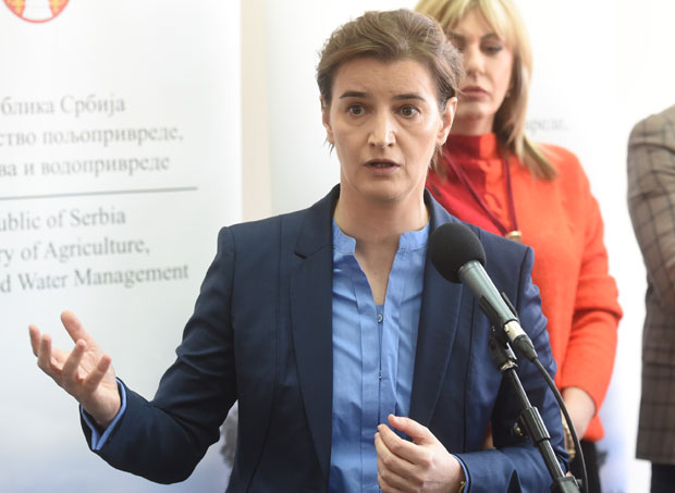 Брнабић: Финансирање кампање у складу са Уставом