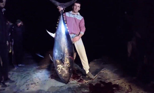 Младић уловио трофејну туну од 73 килограма