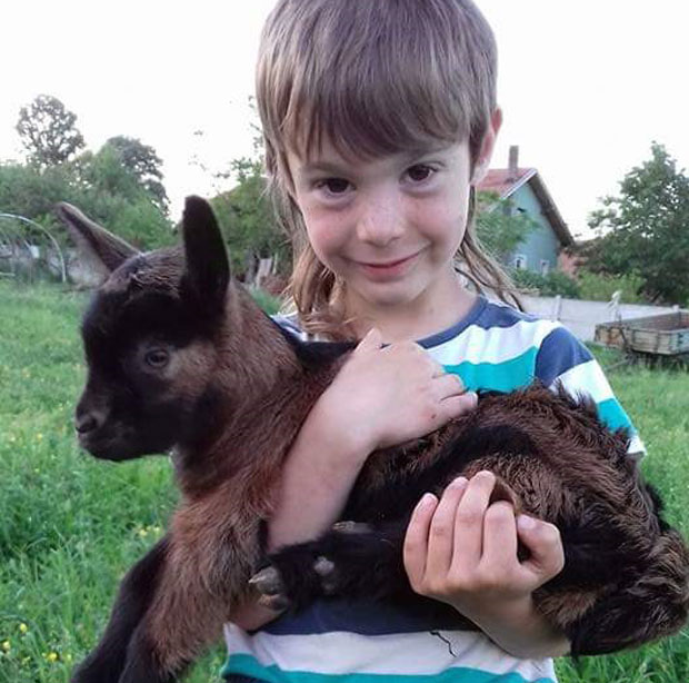 ПАСТИР ОД ШЕСТ ЛЕТА: Не волим да идем у предшколско, драже ми је да будем са козама