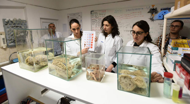 Биолошки факултет добија нову зграду?