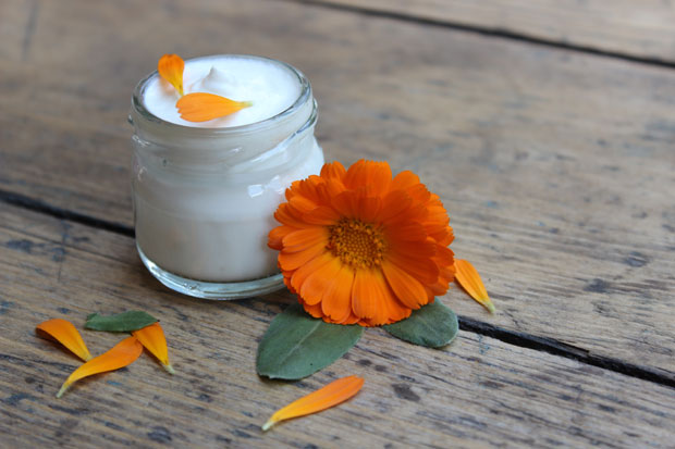 Невен штити кожу од хладноће