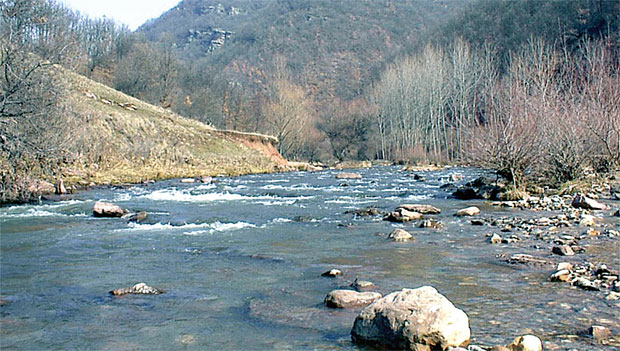 Стара планина: Еколошка акција