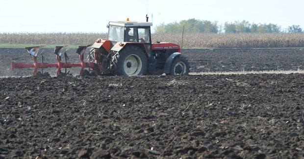Ратарима папрене њиве
