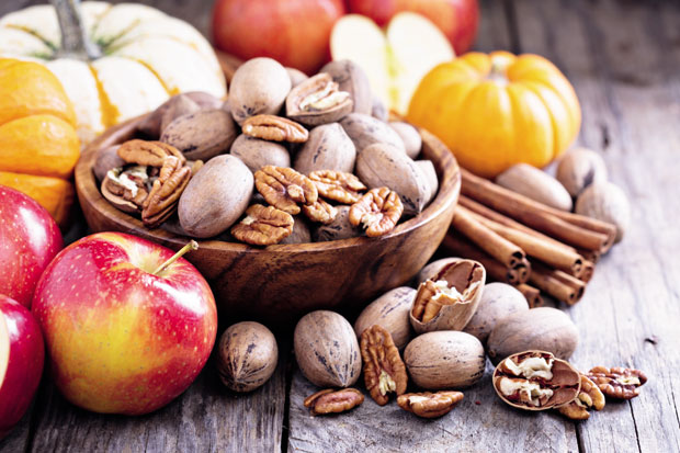 Који су најздравији извори масти