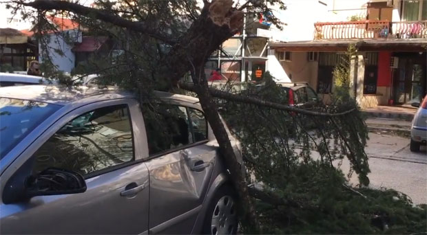 НЕЗАПАМЋЕНО НЕВРЕМЕ У БИХ: У Требињу ветар девастирао Градски парк, у Мостару ломио дрвеће  (ВИДЕО)