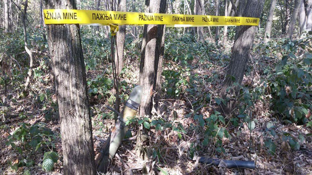 Краду и исцепана дрва из дворишта