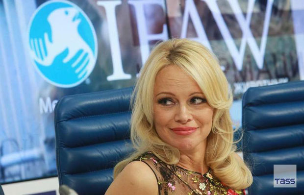 Памела Андерсон тражи помоћ Путина за заштиту китова