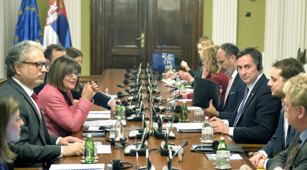 Гојковић разговара са Мекалистером и члановима Одбора ЕП