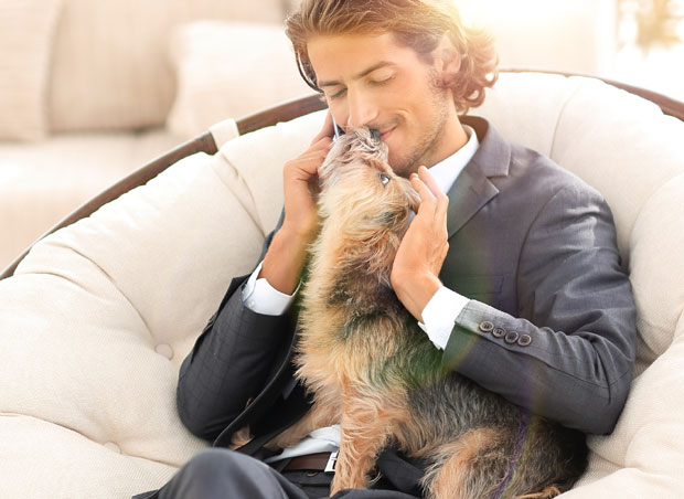 Да могу да говоре, наши љубимци би нам саопштили ове ствари