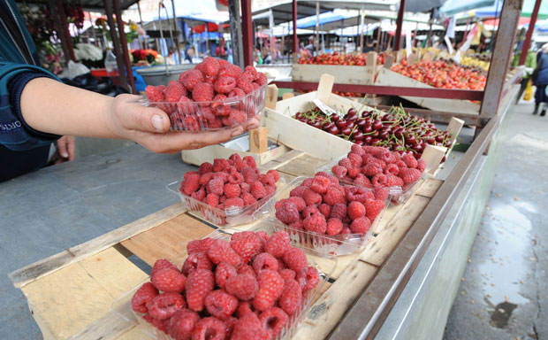 Хладњаче нам пуне, а воће ипак увозимо