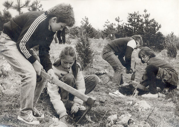 Жуљеви за петицу