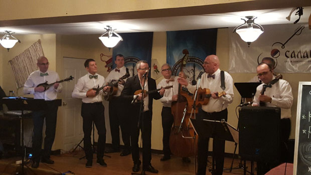 Жице тамбурице с друге стране баре