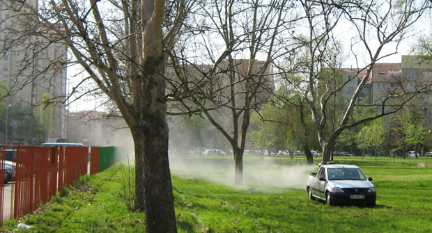 Нови Сад: Крпељи већ измилели