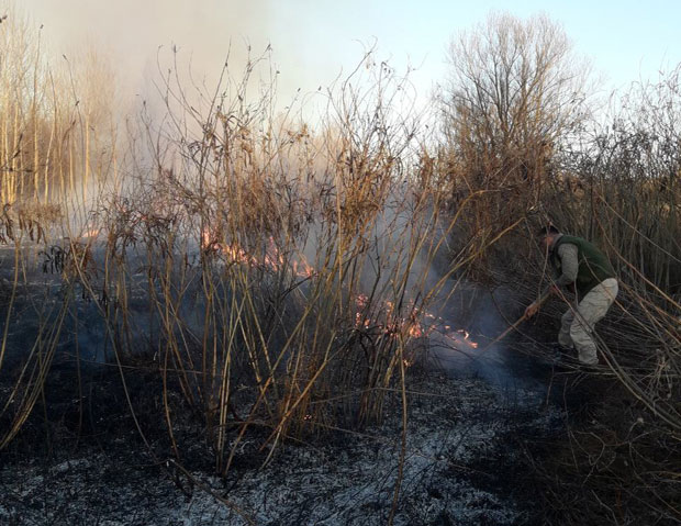 ОПЕТ ПОЖАР НА ФРУШКОЈ ГОРИ: Гори код Лежимира