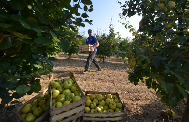 Органска производња у РС у успону, а министарство ће помоћи сертификацију