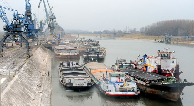 Дубаи стиже у Луку Нови Сад