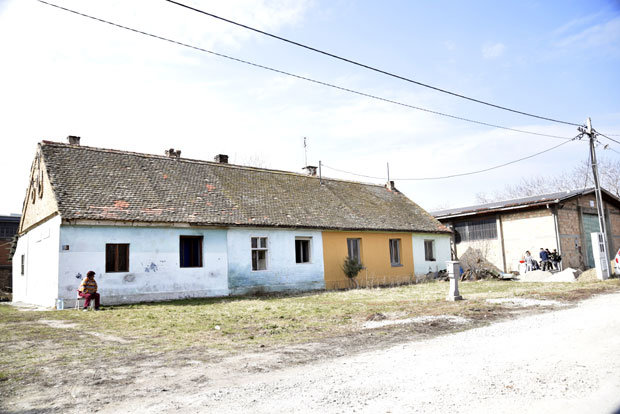 ЗАВРШЕНА ОБДУКЦИЈА ЖЕНЕ КОЈУ ЈЕ УБИО ПАС: Настрадала услед крварења