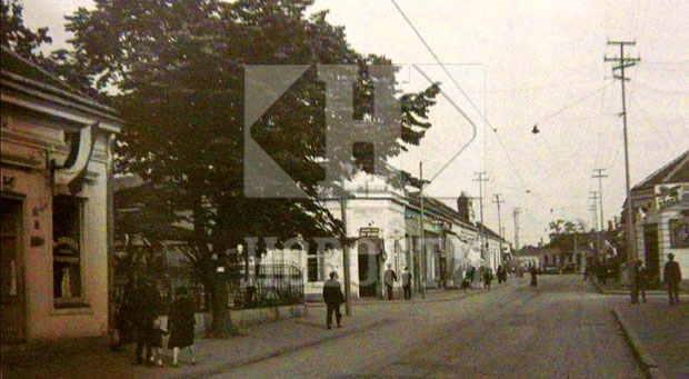 Београдске приче: За ћелаве - и мука и брука