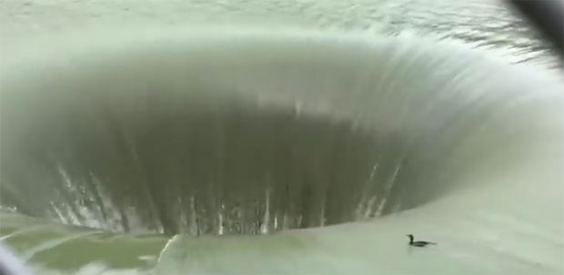 Срећа у несрећи за корморана ког је усисао огроман вир (ВИДЕО)
