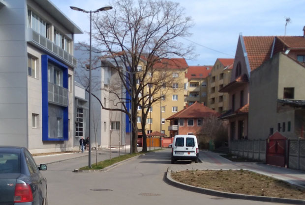 Мушкарцима 308. а женама 38 улица