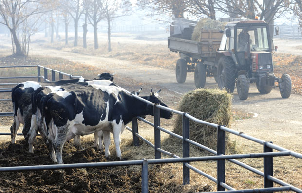 Дали им њиве, па их отели тужбама