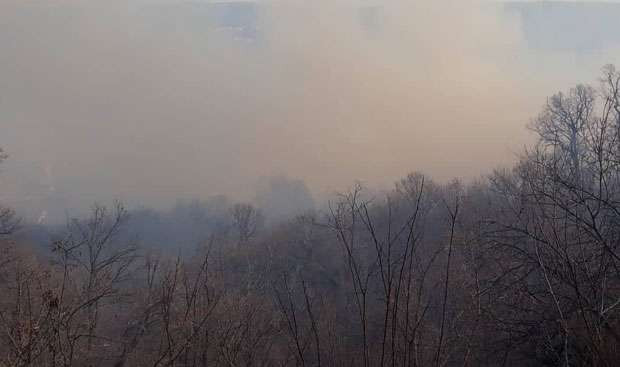 БУКТИ ПОЖАР У СЕЛУ РАЈАЦ: Гори 15 хектара ораница
