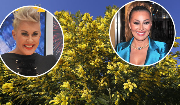 ПРАЗНИК МИМОЗЕ У ХЕРЦЕГ НОВОМ: Цеца Ражнатовић и Индира Форца за крај