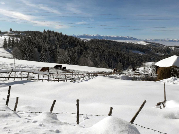 После снега стигао мраз