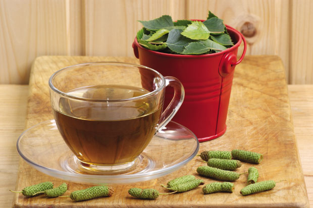 Традиционална медицина: Лековити чајеви брезе