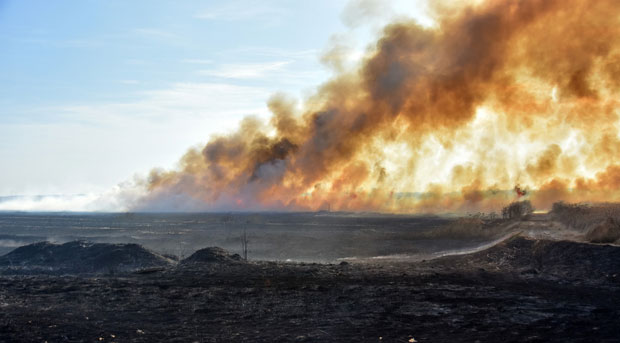 Ватра гута гнезда, дивљач препаднута, уништена станишта ретких врста птица