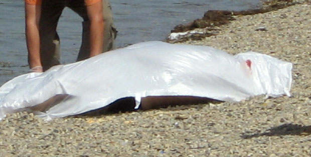 У мору код Херцег Новог нађено тело жене