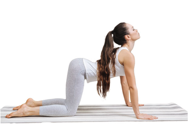 Размрдајте доњи део леђа