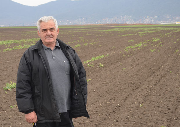 Ратари ору - репицу