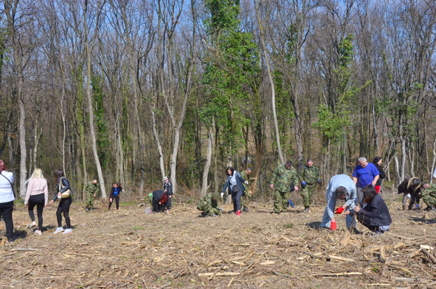 АКЦИЈА ШУМА ЗА СТРАДАЛЕ У НАТО АГРЕСИЈИ 1999: Сади се 2.500 садница (ФОТО)