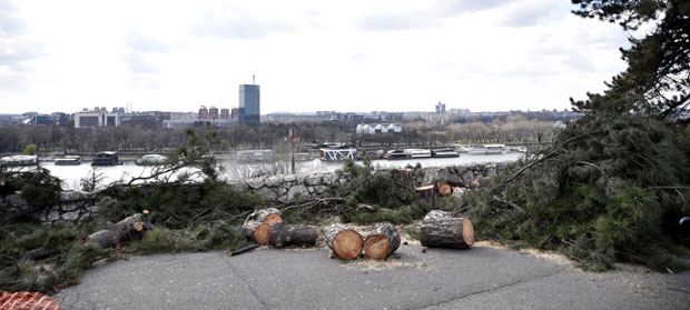 Без станице на савском шеталишту!