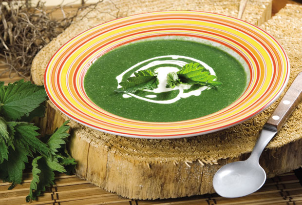 Најбоље од коприве