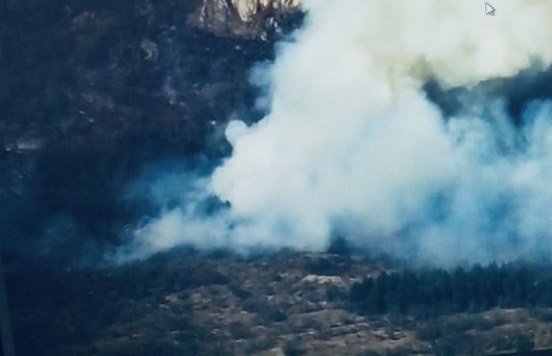 ДРАМА НА ЦРНОМ ВРХУ: Букнуо шумски пожар (ФОТО)