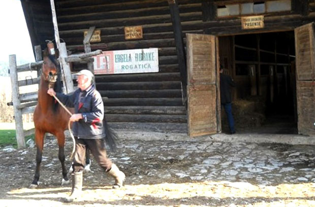 Угашена ергела на Борикама