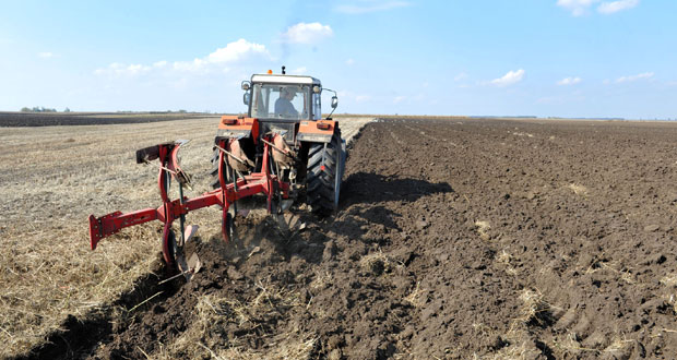 Усвојен правилник о подстицајима у пољопривредној производњи