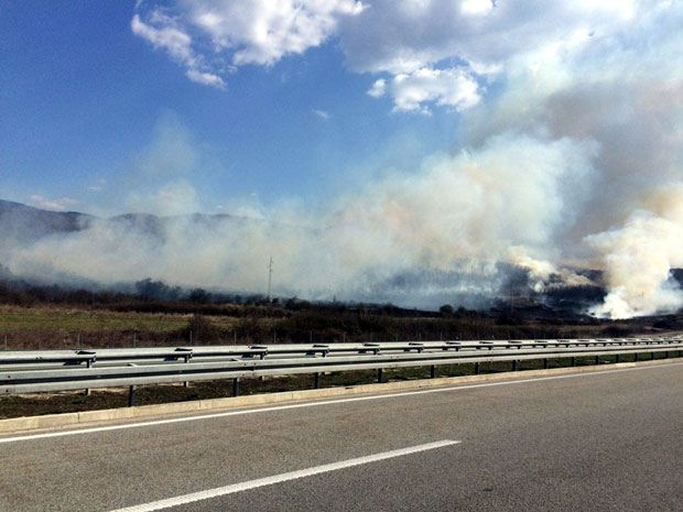 ПОЖАР ПОРЕД АУТО-ПУТА НА КОРИДОРУ 10: Ватрена стихија се шири на оближњу шуму (ФОТО)