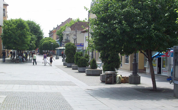 Вучић проглашен почасним грађанином Козарске Дубице