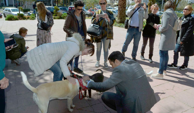 Протест због наводног тровања паса