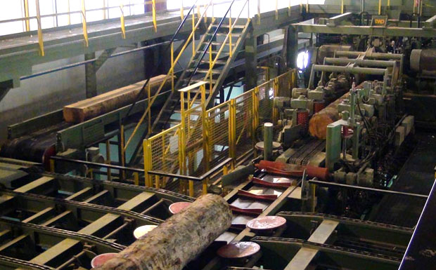 ЦГ: Вектра изгубила концесије за шуме