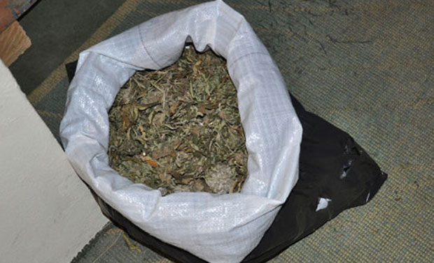 Кесе канабиса побацане километрима дуж пута