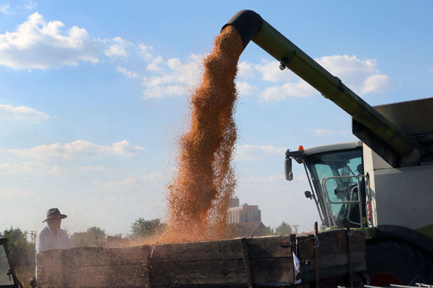 Хрватска повлачи кукурузну крупицу српског произвођача