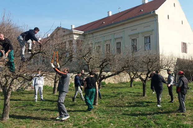 Крстићи за орезано воће
